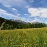SkiWelt Wilder Kaiser-Brixental  - Bauernhof Oberbäringerhof