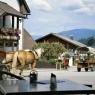 Schladming-Dachstein - Appartement Ingrid - Haus am Skiweg