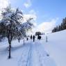 SkiWelt Wilder Kaiser-Brixental  - Ferienwohnung Springer