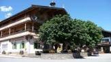 Maikircher