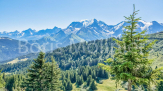 Chalet Carlines