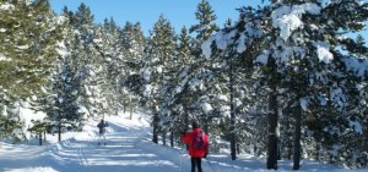 Pyrenees 2000