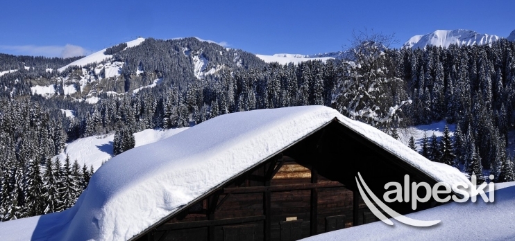 Praz Sur Arly