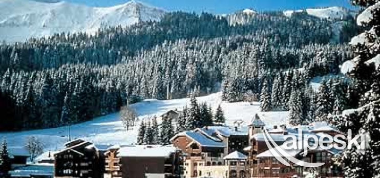Morillon