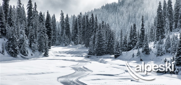 Laax