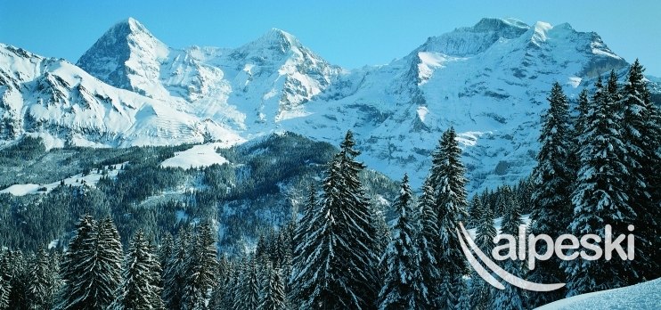 Mürren - Schilthorn